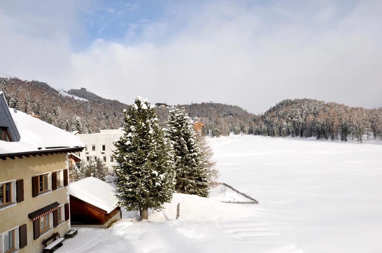 Cosy Apartment Facing Piz Rosatsch St. Moritz Exterior photo
