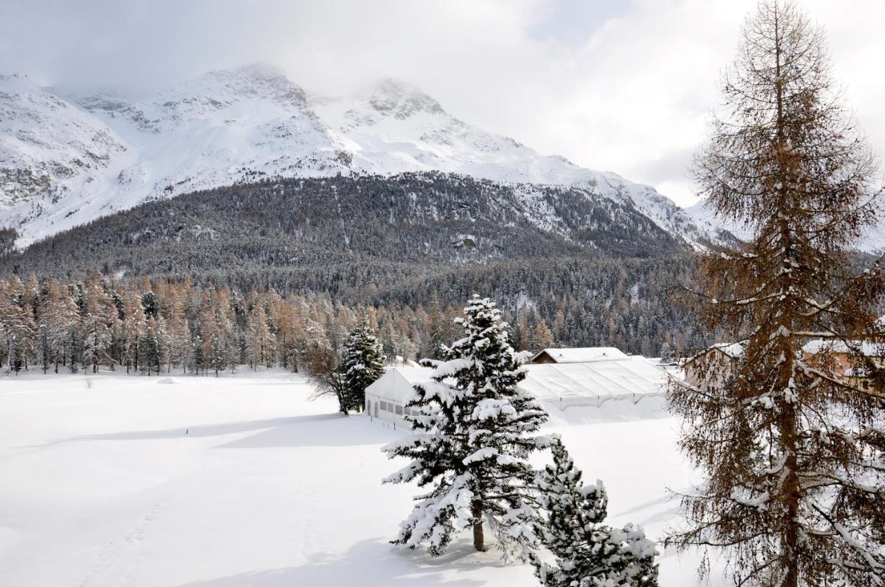 Cosy Apartment Facing Piz Rosatsch St. Moritz Exterior photo